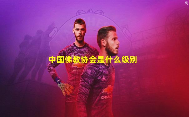 中国佛教协会是什么级别