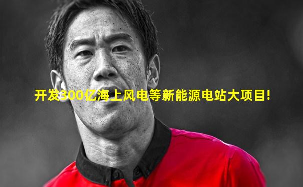 开发300亿海上风电等新能源电站大项目!