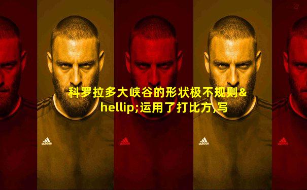 科罗拉多大峡谷的形状极不规则…运用了打比方,写出了