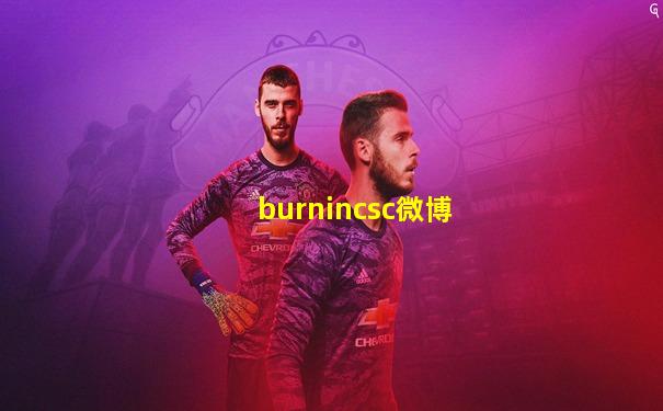 burnincsc微博