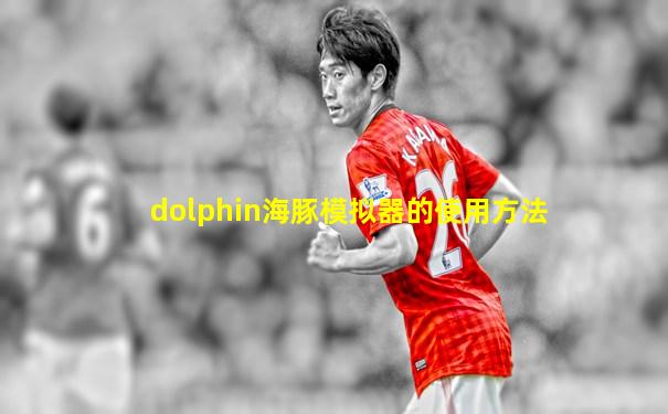 dolphin海豚模拟器的使用方法