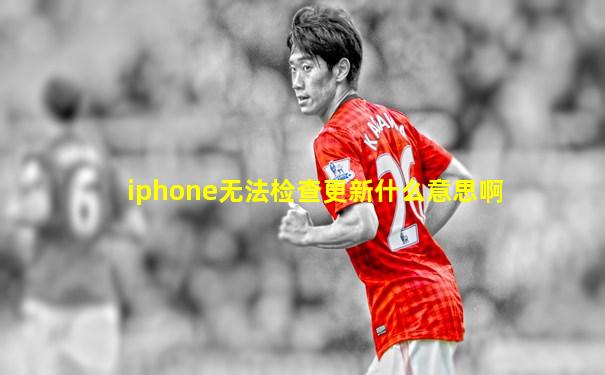 iphone无法检查更新什么意思啊