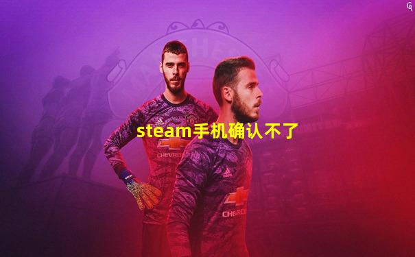 steam手机确认不了