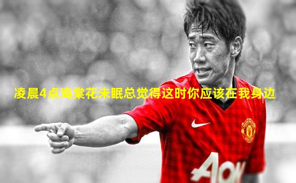 凌晨4点海棠花未眠总觉得这时你应该在我身边