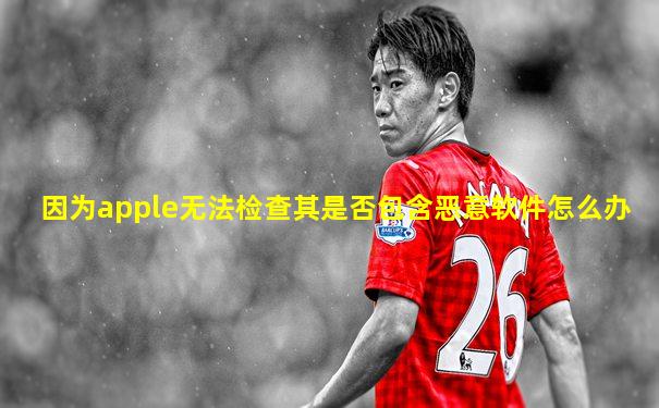 因为apple无法检查其是否包含恶意软件怎么办