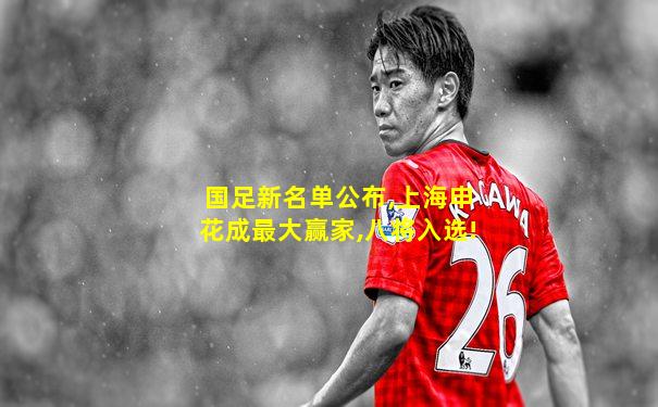 国足新名单公布,上海申花成最大赢家,八将入选!
