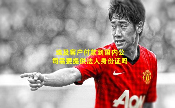 埃及客户付款到国内公司需要提供法人身份证吗