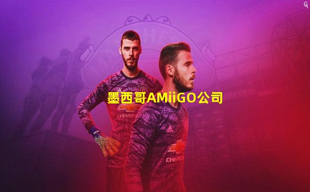 墨西哥AMiiGO公司