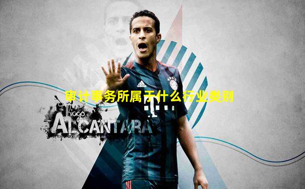 审计事务所属于什么行业类别