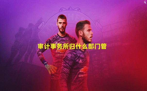 审计事务所归什么部门管