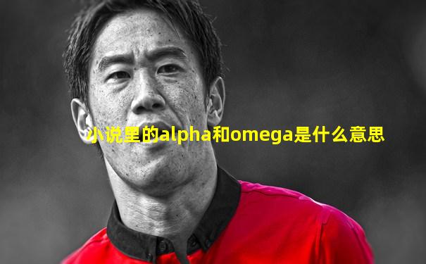 小说里的alpha和omega是什么意思