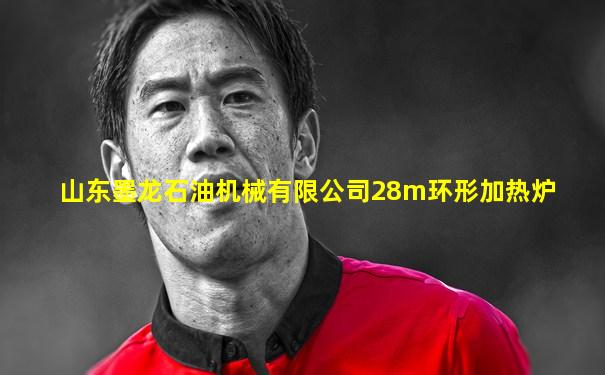 山东墨龙石油机械有限公司28m环形加热炉