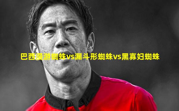 巴西漫游蜘蛛vs漏斗形蜘蛛vs黑寡妇蜘蛛