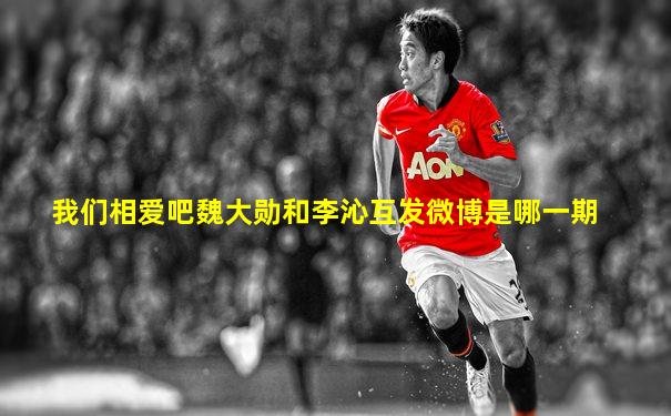 我们相爱吧魏大勋和李沁互发微博是哪一期
