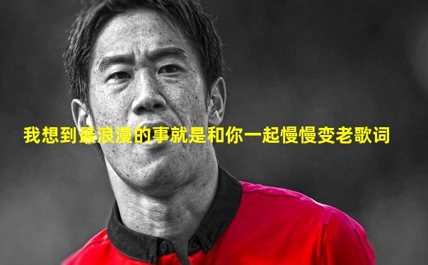 我想到最浪漫的事就是和你一起慢慢变老歌词