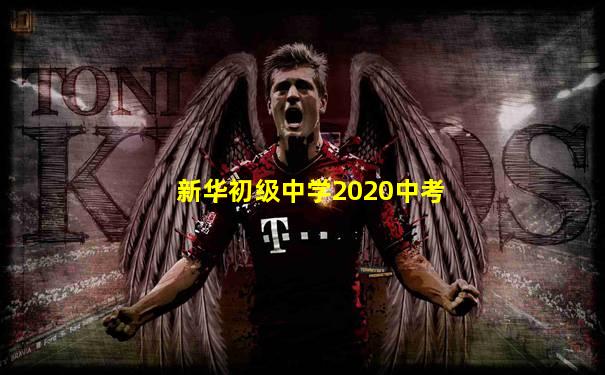 新华初级中学2020中考