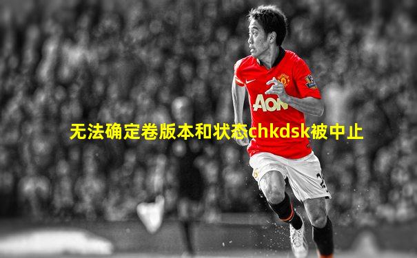 无法确定卷版本和状态chkdsk被中止