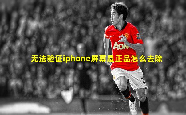 无法验证iphone屏幕是正品怎么去除