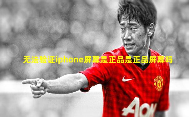 无法验证iphone屏幕是正品是正品屏幕吗