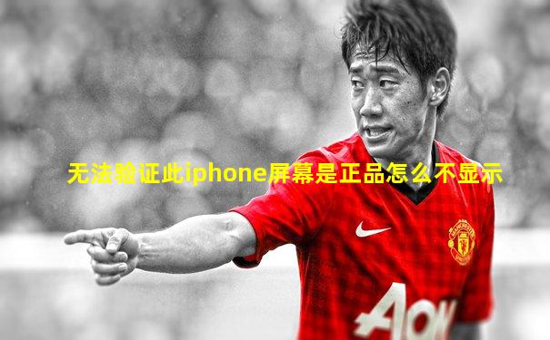 无法验证此iphone屏幕是正品怎么不显示