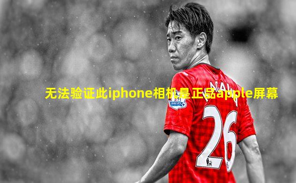 无法验证此iphone相机是正品apple屏幕