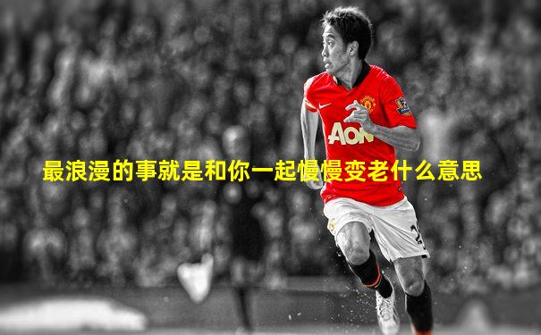 最浪漫的事就是和你一起慢慢变老什么意思