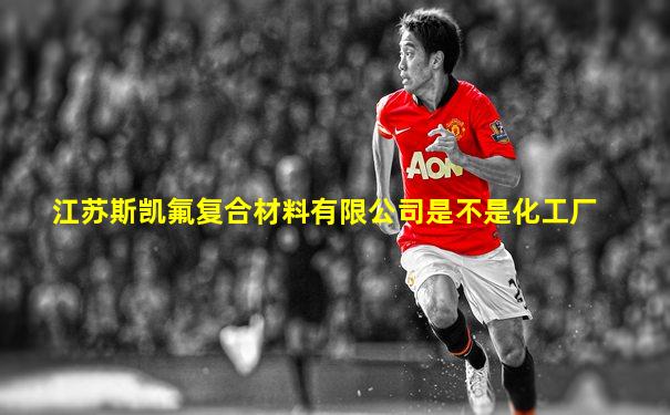 江苏斯凯氟复合材料有限公司是不是化工厂