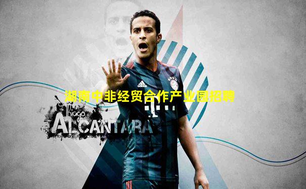 湖南中非经贸合作产业园招聘