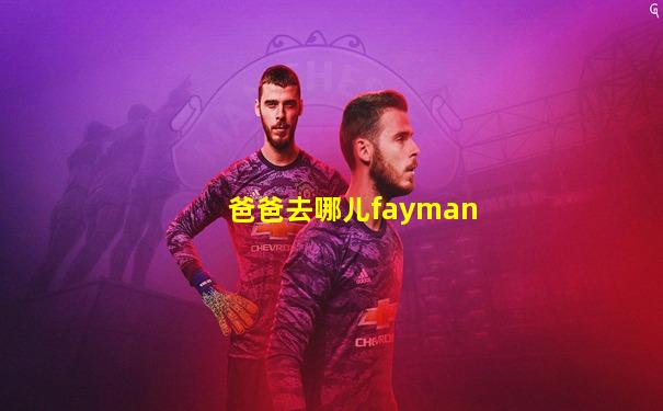 爸爸去哪儿fayman
