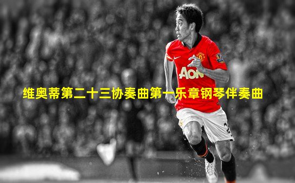 维奥蒂第二十三协奏曲第一乐章钢琴伴奏曲