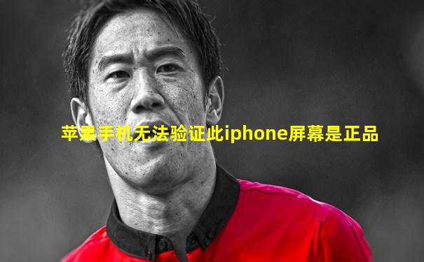 苹果手机无法验证此iphone屏幕是正品