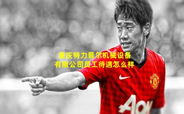 重庆特力普尔机械设备有限公司员工待遇怎么样