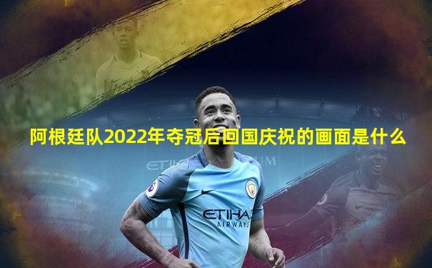 阿根廷队2022年夺冠后回国庆祝的画面是什么