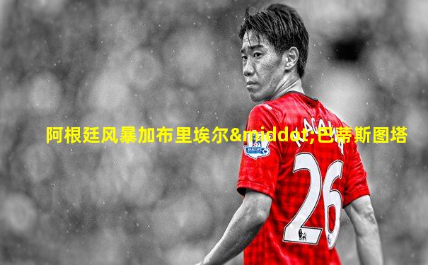阿根廷风暴加布里埃尔·巴蒂斯图塔